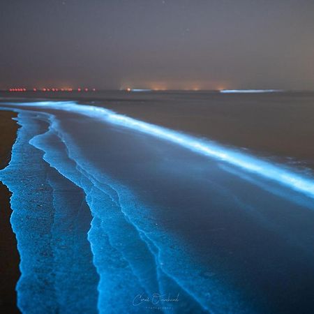Kw96 Katwijk Aan Zee 아파트 외부 사진